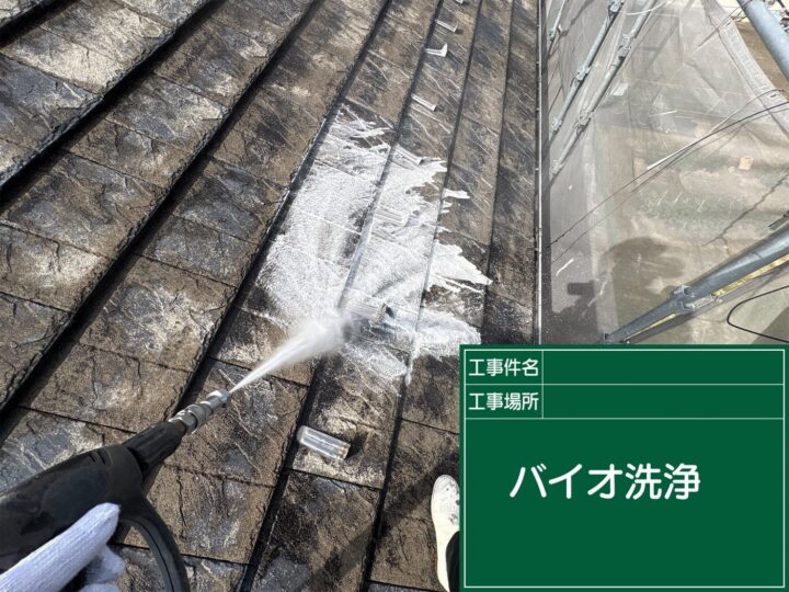バイオ洗浄
